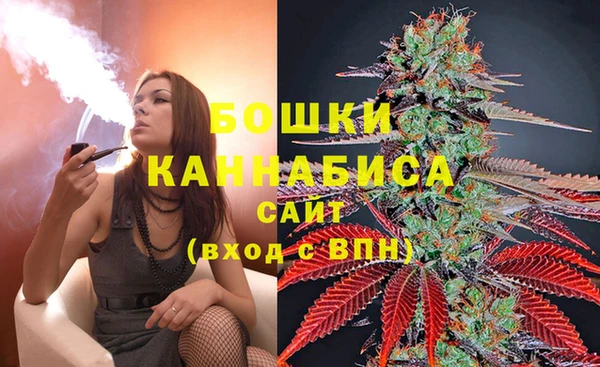 дмт Кукмор