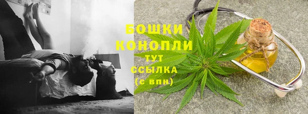дмт Кукмор