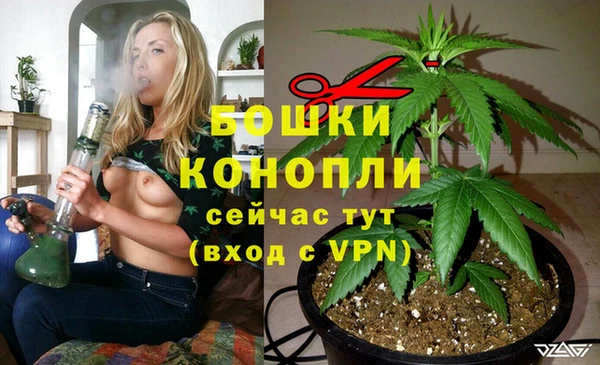 дмт Кукмор